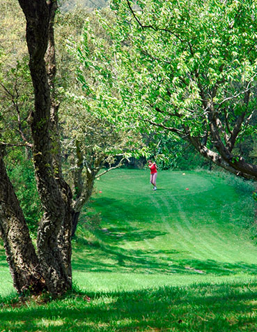 pitch-and-putt-formulario