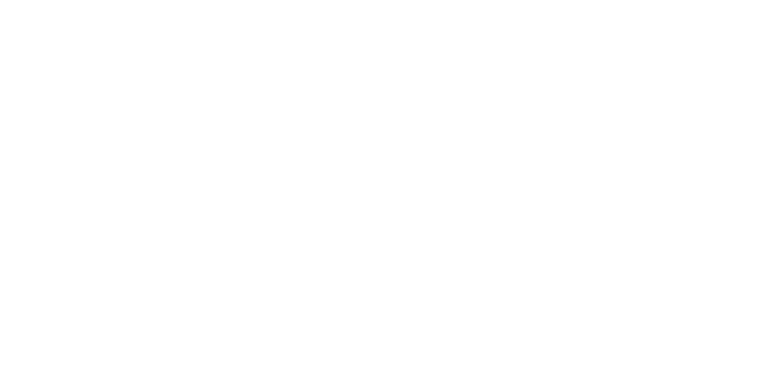 Logo Emerald Stay