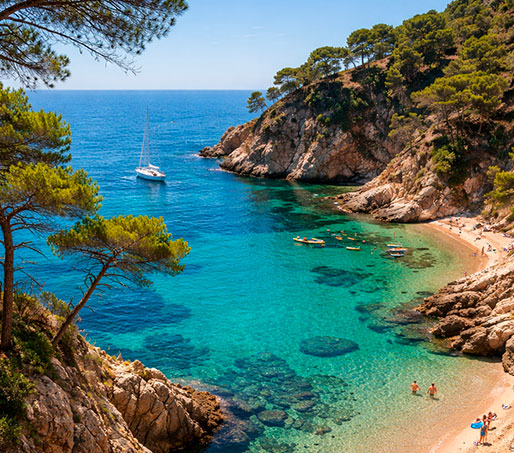 home-entorno home-entorno